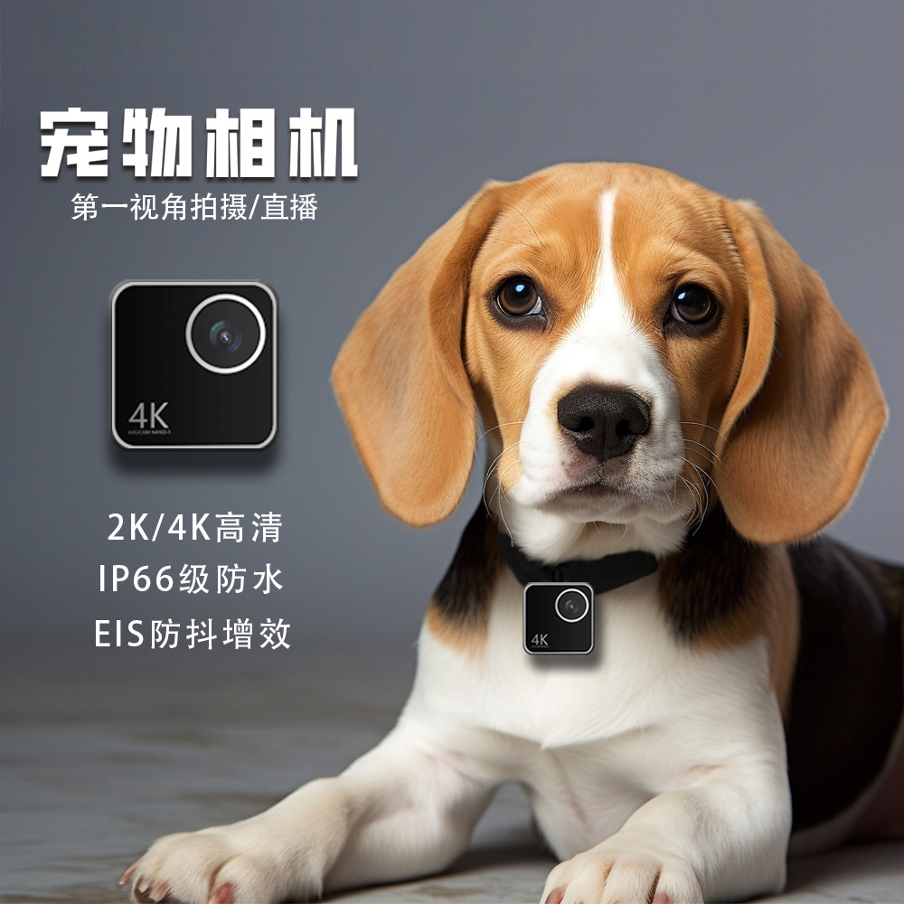 Animal cat dog pet camera firs - đánh giá và giá Cameras